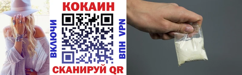 Купить где  Хотьково  COCAIN Fish Scale 