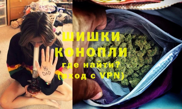 индика Беломорск