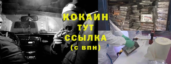 твердый Белокуриха