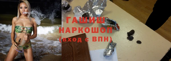 индика Беломорск