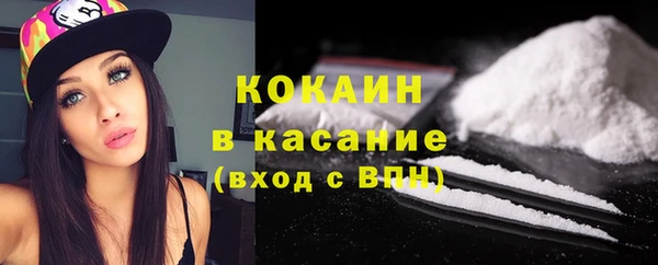 индика Беломорск