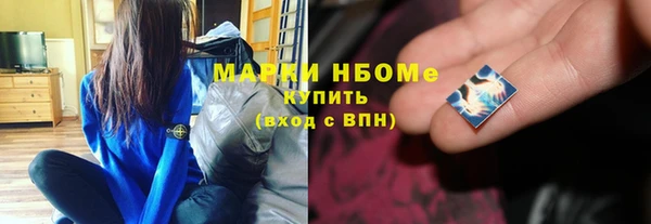 индика Беломорск