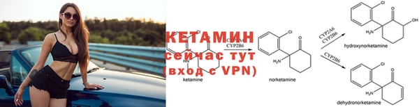 индика Беломорск