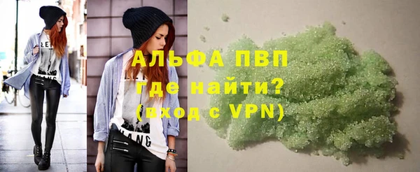 индика Беломорск