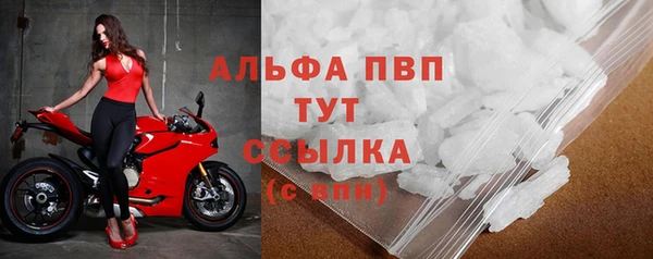 индика Беломорск
