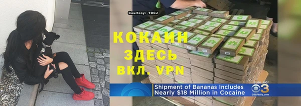 2c-b Богданович